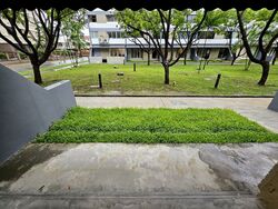 Dunearn Road (D11), Condominium #505033721